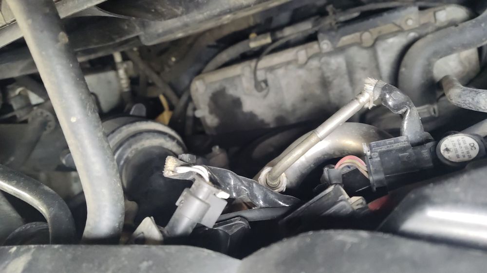 GREAT CANADIAN OIL CHANGE Updated September 2024 8511 Macleod Trail