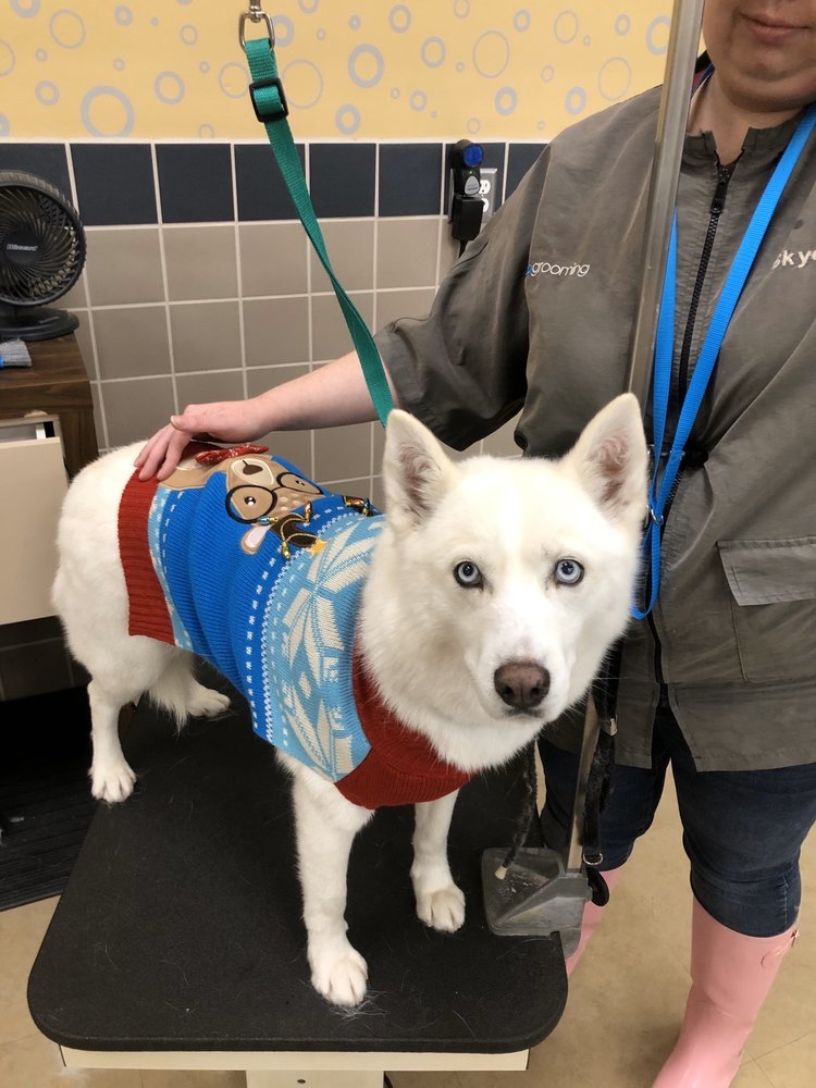 PETCO 56 Photos & 107 Reviews Pet Stores 11976 Dublin Blvd