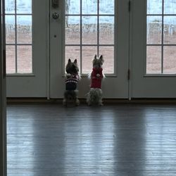 Green Acres Pet Resort