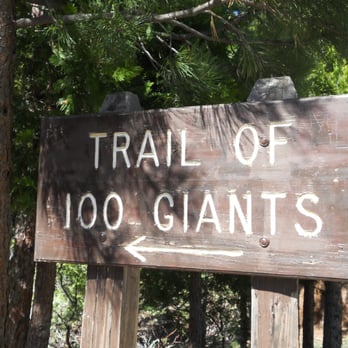 Trail of 100 Giants - Hiking Near Me - Springville, California Trail of 100 Giants - Hiking Near Me - Springville, California