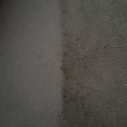 Ameristeam - The dark is what he's supposedly cleaned, total waste of time