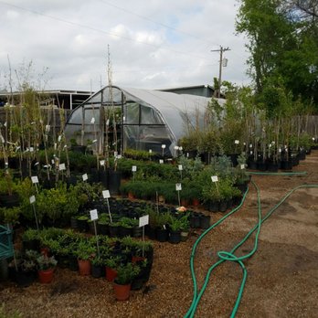 Hartwell's Nursery - Nurseries & Gardening Near Me - Lewisville, Texas