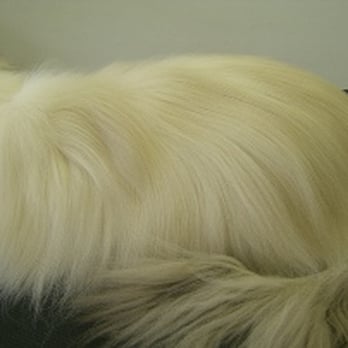 Pet Universe - Pet Services Near Me - Ilford, XGL Pet Universe - Pet Services Near Me - Ilford, XGL