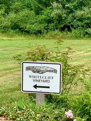 Whitecliff Vineyard & Winery by null