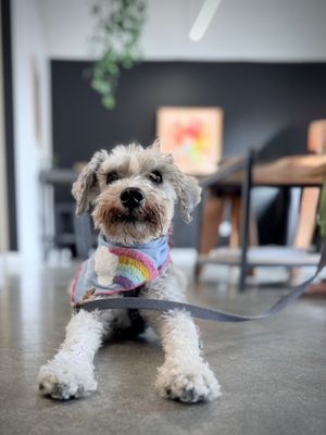 Common Room Roasters - Long Beach Coffee Shop & Roastery by null