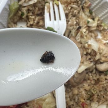 Nagoya Ramen & Bakery - This was a cockroach in my daughter's fried rice! - Ramen Near Me - Kapolei, Hawaii Nagoya Ramen & Bakery - This was a cockroach in my daughter's fried rice! - Ramen Near Me - Kapolei, Hawaii