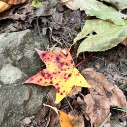 Green Mountain Nature Preserve