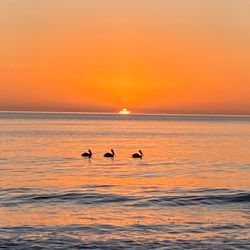 NextHome Beach Time Realty - Beautiful St. Pete Beach sunsets!