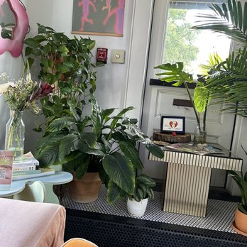 Beauty Haus - Plants - Waxing Near Me - San Antonio, Texas