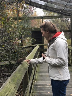 Ohio Bird Sanctuary by null