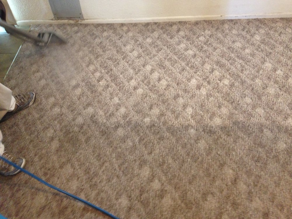 DAVE’S CARPET CLEANING Updated September 2024 21 Photos & 64