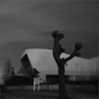 Kunstsammlung Nordrhein-Westfalen by null