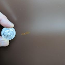 Red Door Upholstery - Size of chunk taken out when they delivered the couch