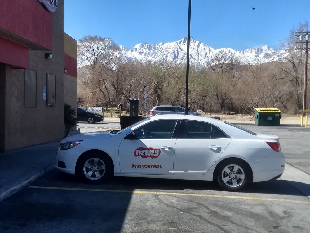 DEWEY PEST CONTROL 26 Photos Pest Control 1335 Rocking W Dr