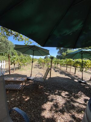Saddleback Cellars by null