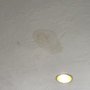 Photo of SERVPRO of Framingham