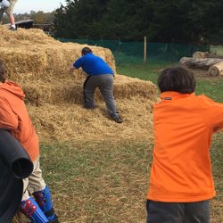 Lloyd's Pumpkin Patch