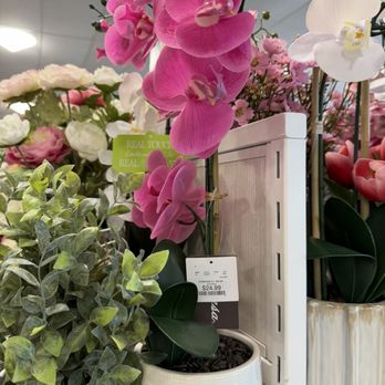 HomeGoods - Kitchen & Bath Near Me - Nicholasville, Kentucky