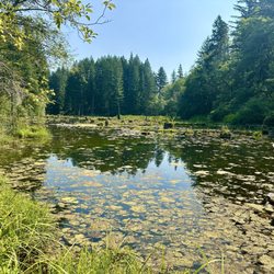 Green Mountain State Forest