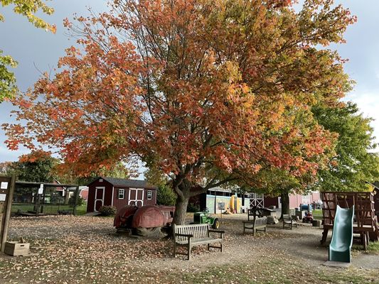 Terhune Orchards by null