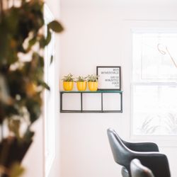 Painted Hair Co