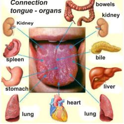 Full Circle Holistic Healing - Unhealthy tongue. I do tongue readings with health screens.