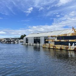 MONA Ferry - Gray & gold ferries