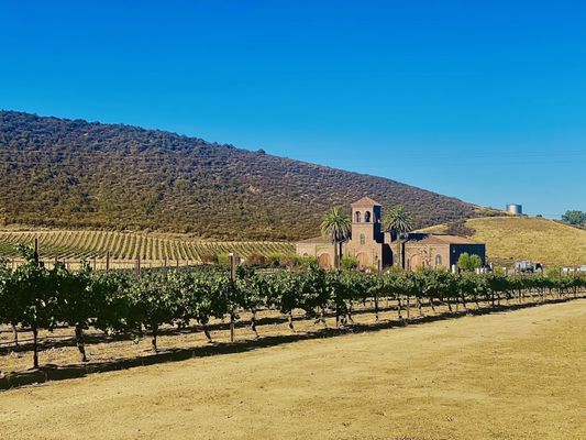 Eden Rift Vineyards by null