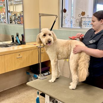 Petco - Pet Stores Near Me - Livermore, California Petco - Pet Stores Near Me - Livermore, California