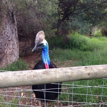 Urimbirra Wildlife Park - Travel Services Near Me - Victor Harbor, SA