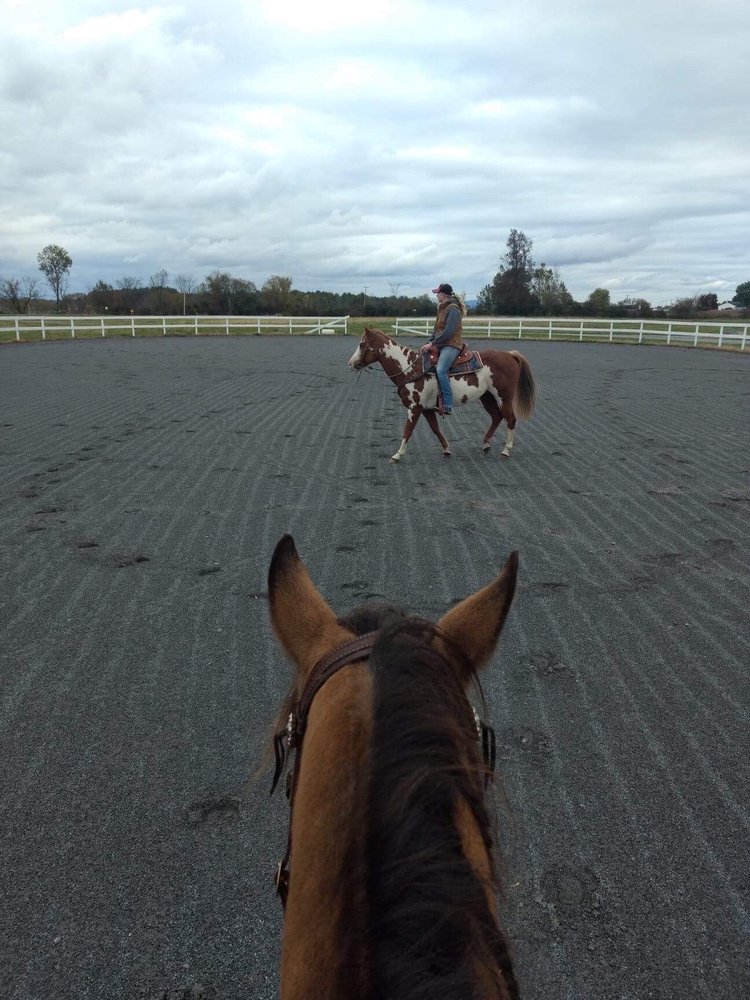 GALLUP RIDGE FARM 186 Blackhouse Rd, Fort Edward, New York Horse