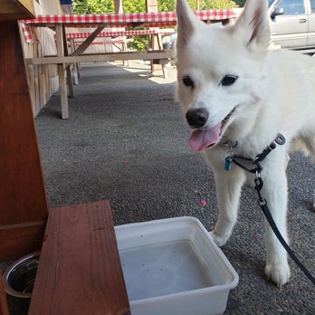 Skai Sushi - Dog station - Sushi Bars Near Me - Blaine, Washington Skai Sushi - Dog station - Sushi Bars Near Me - Blaine, Washington