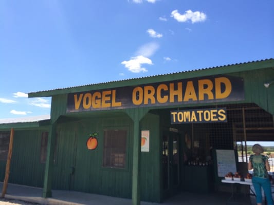 Vogel Orchard by null