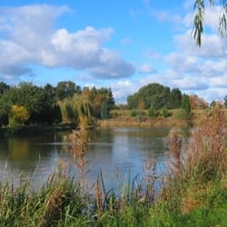 Pool Bridge Farm Fishery