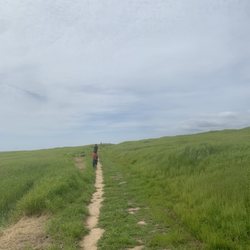 San Marcos Foothills Preserve - Lovely greenery