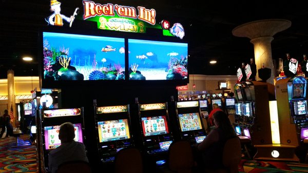 Hollywood Casino Perryville by null