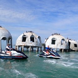 Capt Ron's Awesome Everglades Adventures