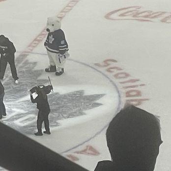 Toronto Maple Leafs - Carlton is adorable - Professional Sports Teams Near Me - Toronto, Ontario