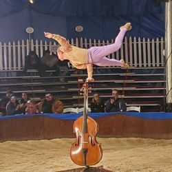 Acrobat on a cello