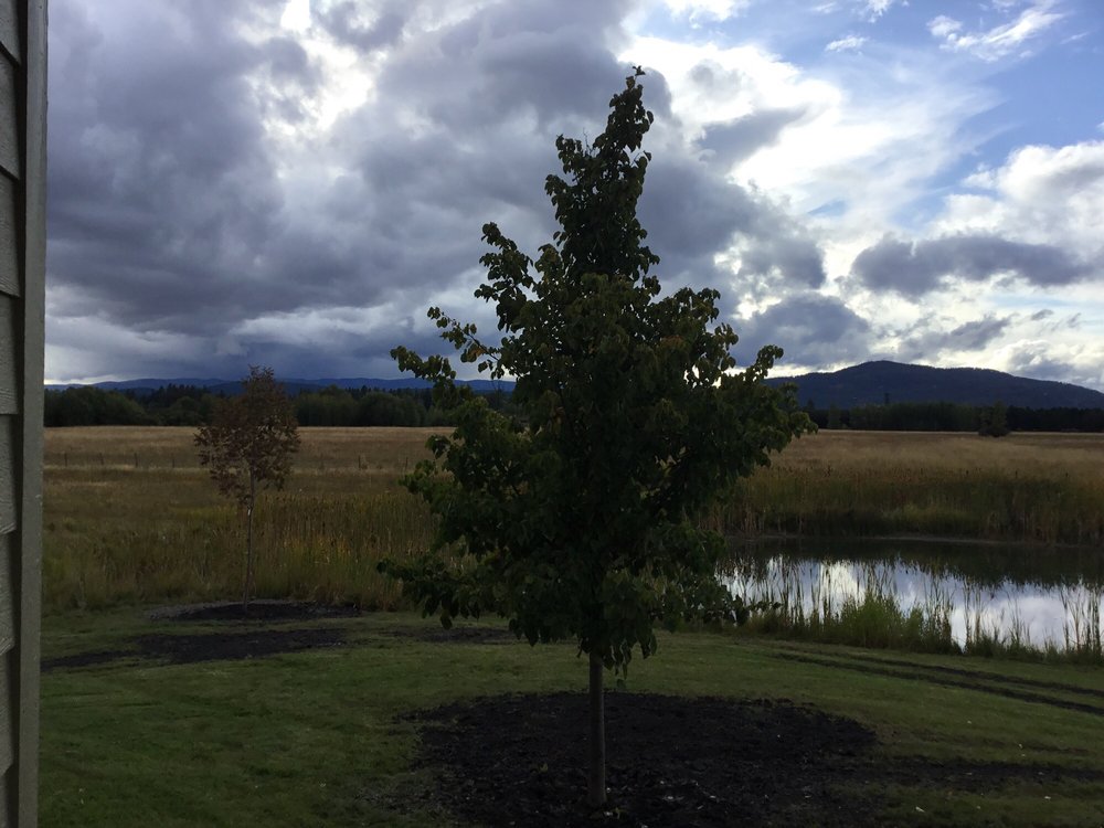 FOUR SEASONS NURSERY Updated August 2024 3240 Montana Hwy 35