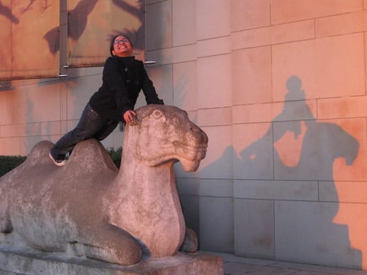 Seattle Asian Art Museum by null