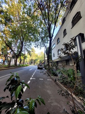 Chiquitito Café by null