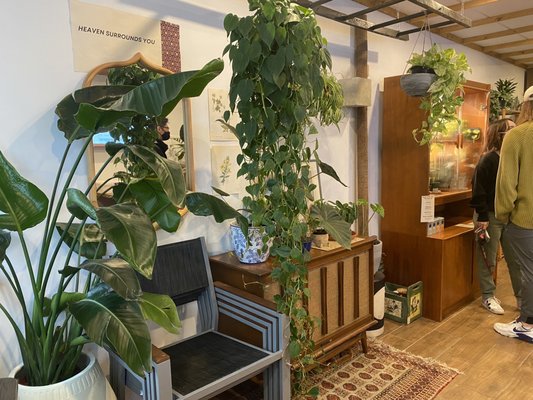 Glasser Coffee Co. by null