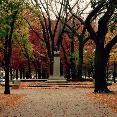 Commonwealth Avenue Mall by null