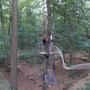 Photo of Kletterwald