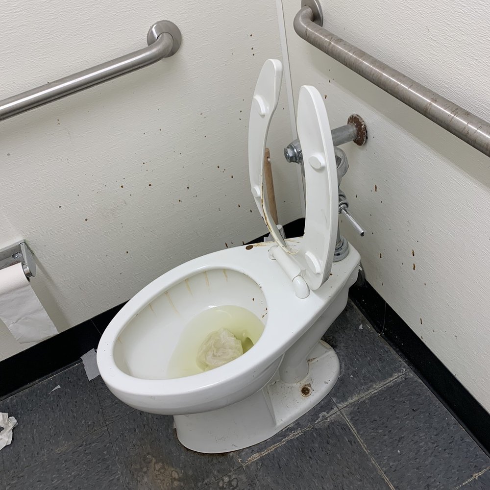 Very disgusting Very disgusting