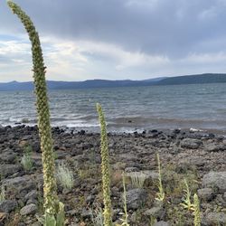 Lake Almanor