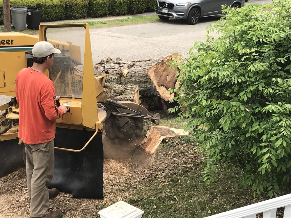 Richard Hunt Landscaping - tree service in Milton, MA