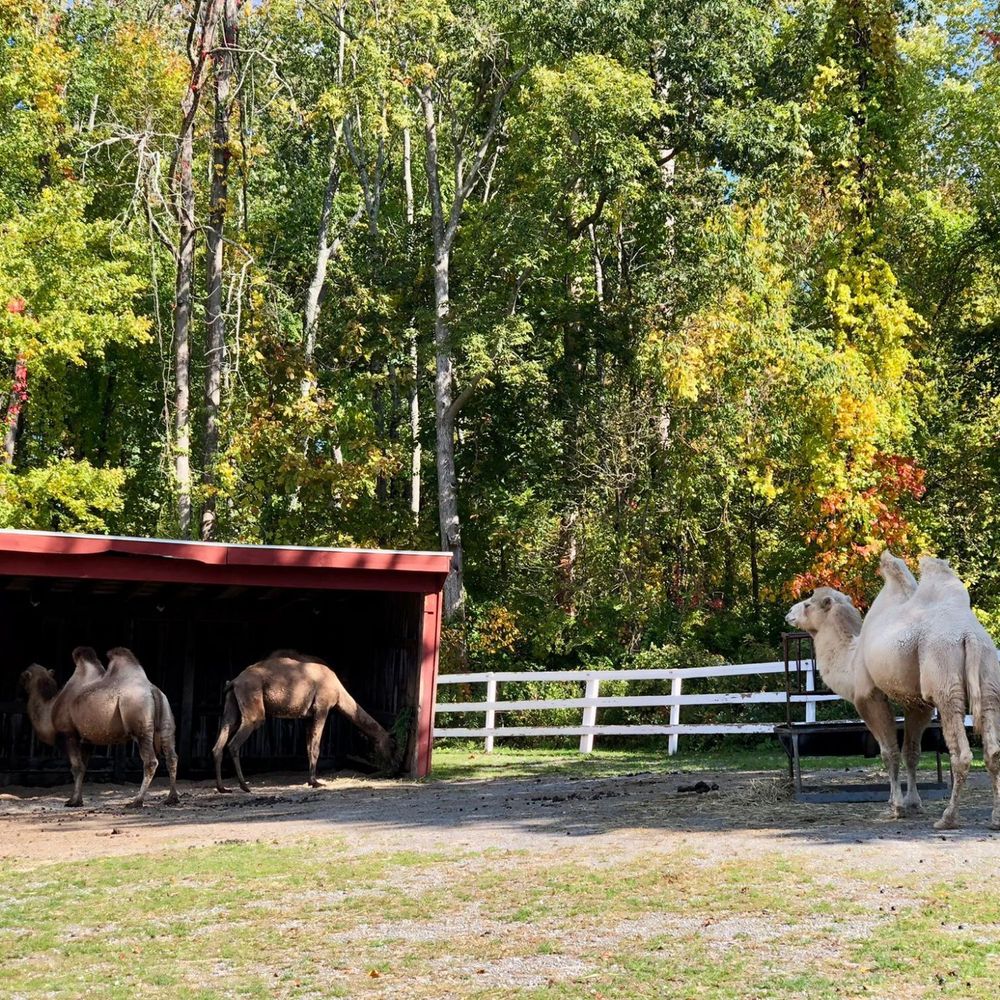Green Chimneys - Community Service/Non-Profit Near Me - Brewster, New York