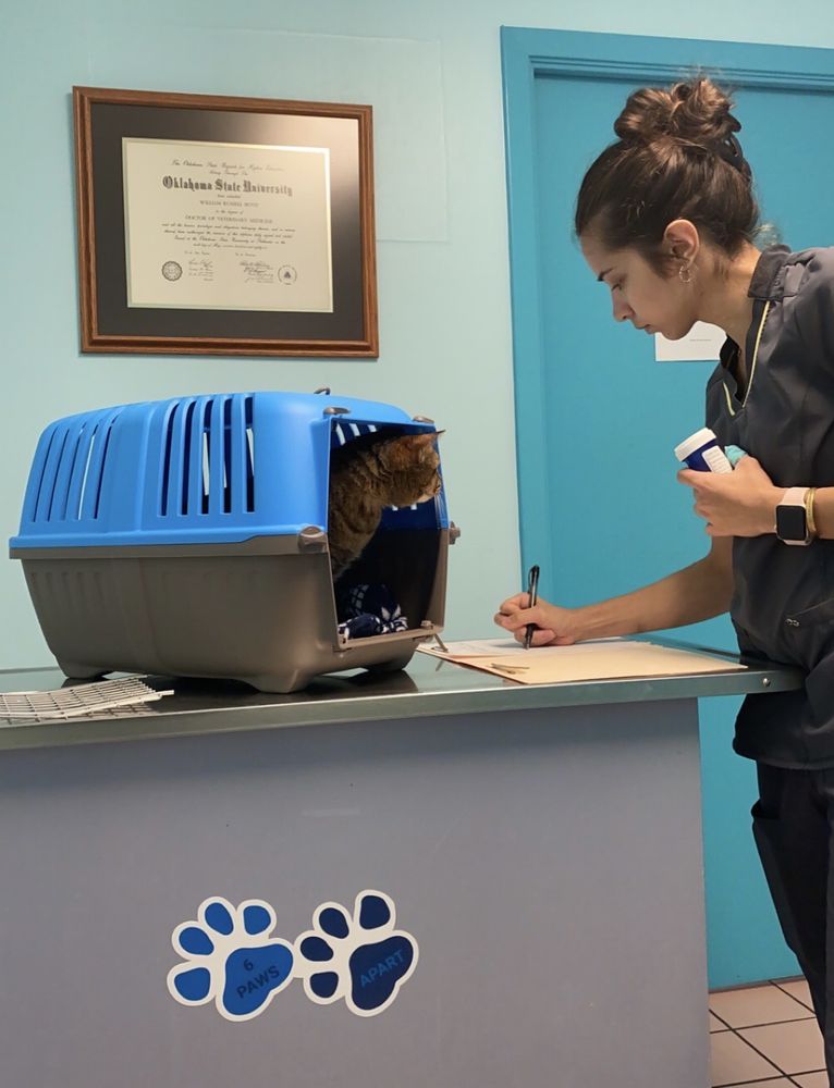 NORTHWEST AUSTIN VETERINARY CENTER Updated September 2024 48 Photos